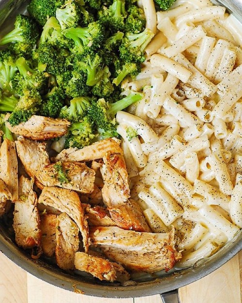 Chicken Broccoli Alfredo